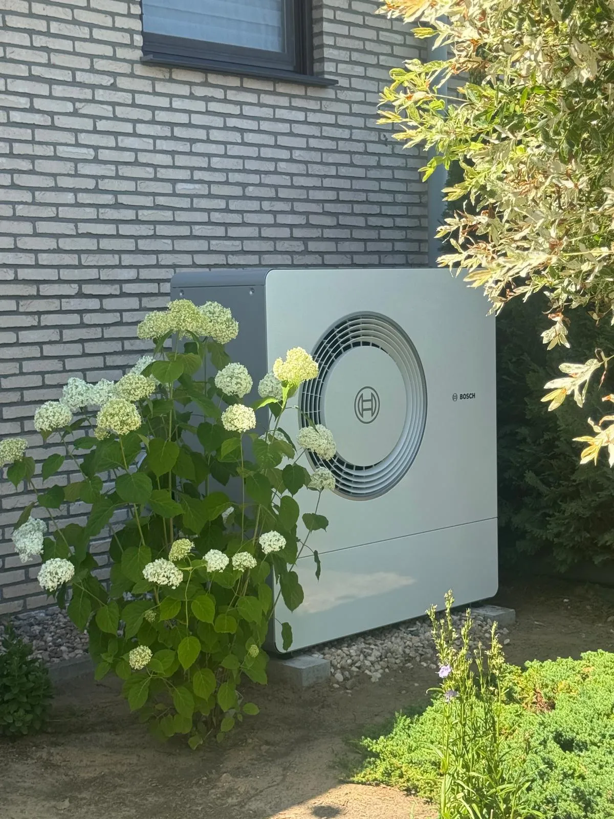 Wärmepumpen-Referenz HeatX – Außeneinheit hinter der Hortensie Wärmepumpen-Referenz HeatX – Außeneinheit hinter der Hortensie